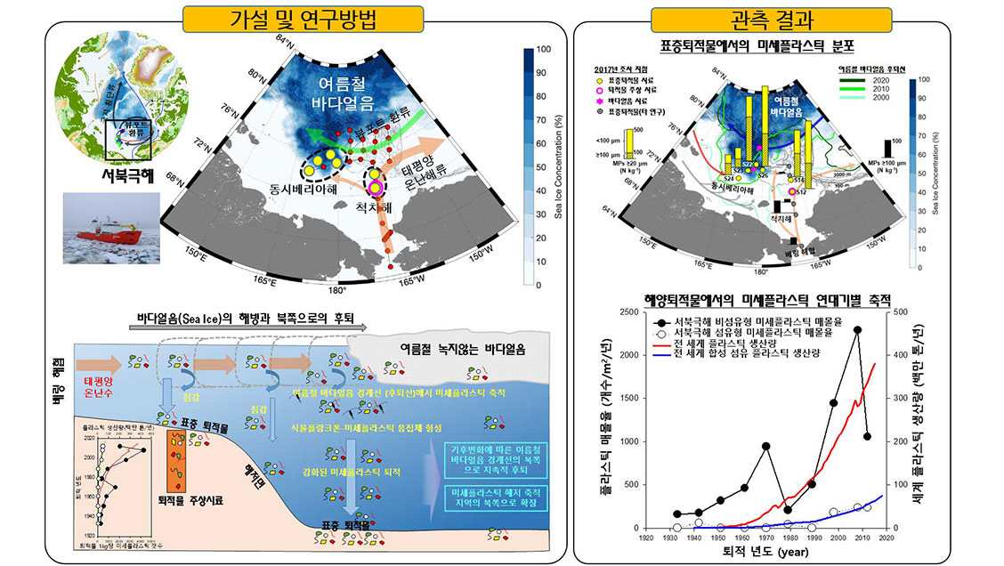 연구 가설 및 관측결과 모식도