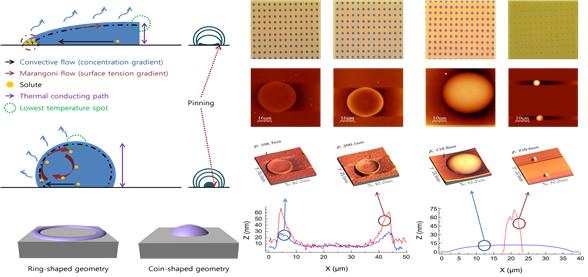 The internal microfluidic behavior of inkjet printed droplets and the geometry of solidified microdots.