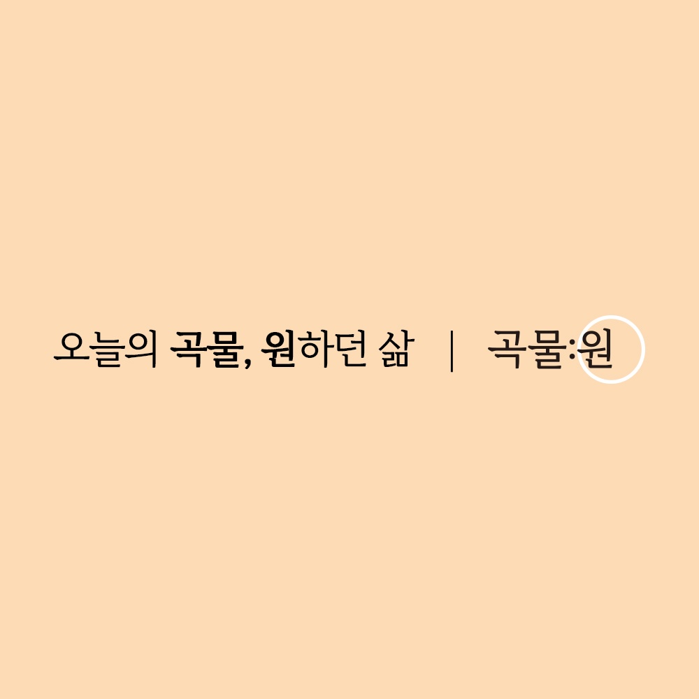 오늘의 곡물, 원하던 삶 곡물:원