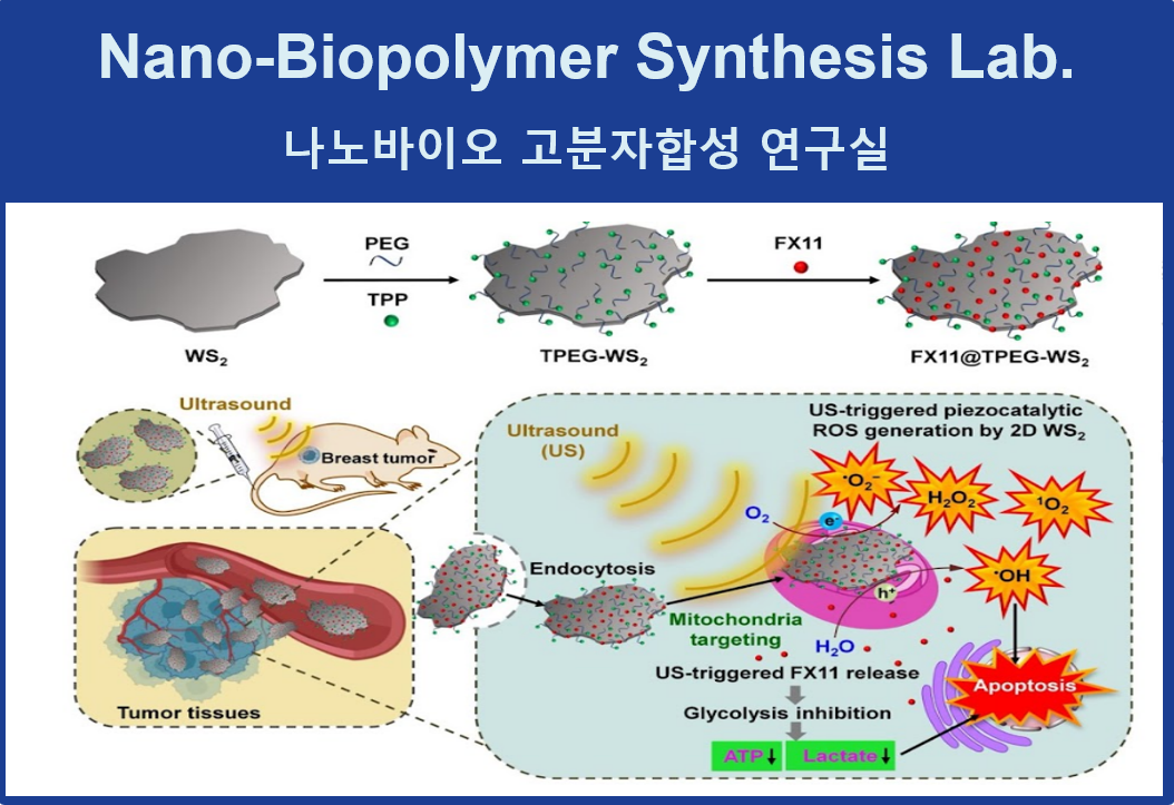 Nano-Biopolymer Synthesis Lab. 대표이미지